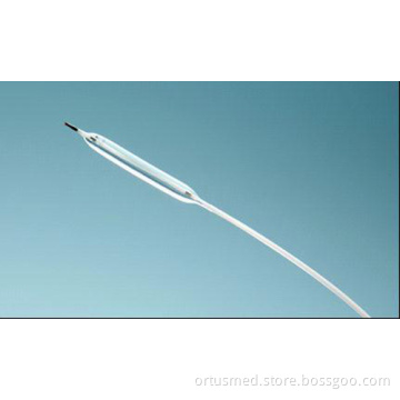 PTCA Balloon Catheter